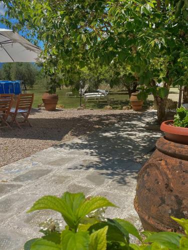 a patio with a table and chairs and trees at La Casina D' Avena in Agna