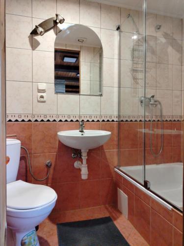 a bathroom with a sink and a toilet and a shower at Jelena Domek in Hołny Mejera