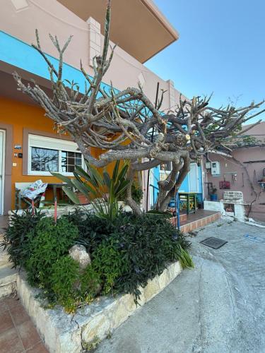 a tree in a garden in front of a building at Modern 1-bedroom with BBQ & Roof Garden near Beach in Stalos