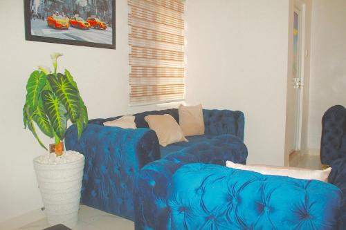 a blue couch in a living room with a plant at Flixx & Flixx Apartments - Eleyele Ibadan in Ibadan