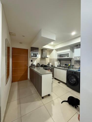 a kitchen with a black cat sitting on the floor at Chacabuco 658 in Comodoro Rivadavia