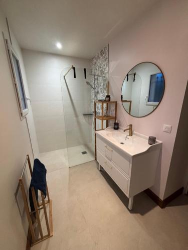 a bathroom with a sink and a shower with a mirror at Maison La Vigne in Marcillac-Saint-Quentin