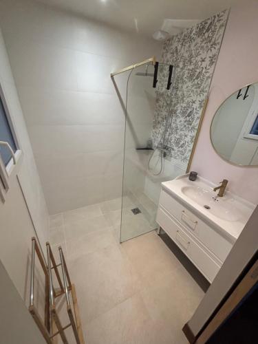 a bathroom with a shower and a sink and a mirror at Maison La Vigne in Marcillac-Saint-Quentin