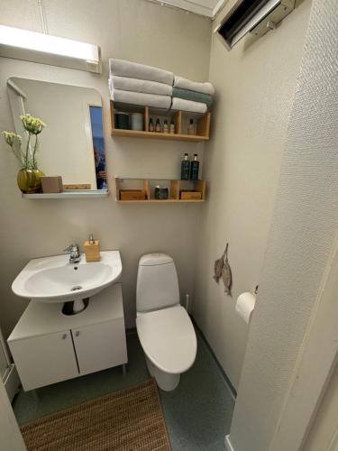 a bathroom with a toilet and a sink at Midt i byen in Trondheim