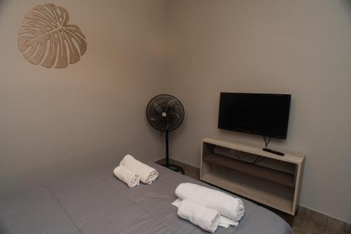 Una habitación con una cama y un televisor de pantalla plana. en Tu Lugar Alojamientos Temporarios, en Salta
