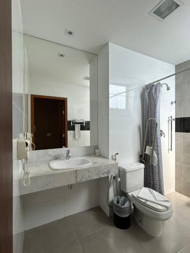 a bathroom with a sink and a toilet and a mirror at Tupyguá Brasil Hotel in Pedro Leopoldo