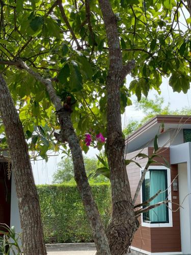 a tree in front of a house with a pink flower at Nutchana Hill Boutique Hotel in Ban Thung Ri
