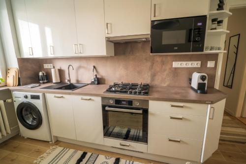 Kuchyň nebo kuchyňský kout v ubytování Apartmán u Leny