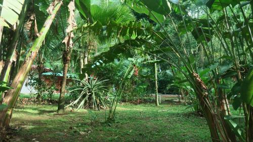 Un jardín fuera de Casa Moabi