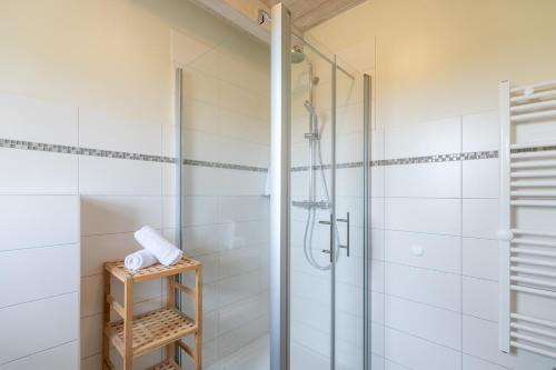 a bathroom with a shower with a glass door at Marie in Dagebüll