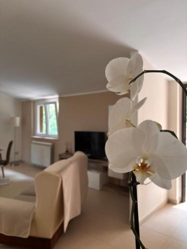 a vase with white flowers in front of a living room at B&B La Terrazza in Mormanno