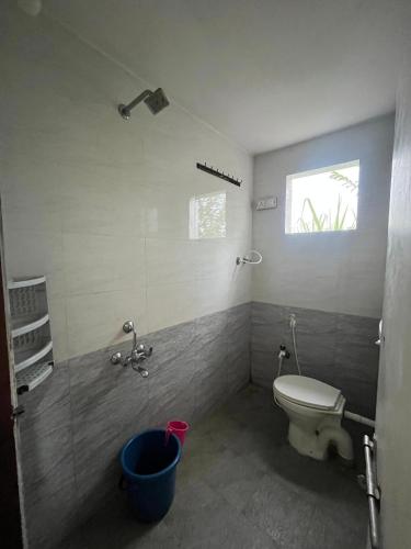 ダンデリにあるDANDELI CROCODILE EDGE HOME STAYのトイレと窓のあるバスルーム