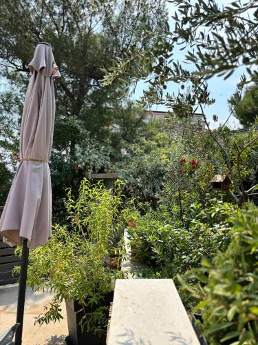 Κήπος έξω από το Apartment Marevic