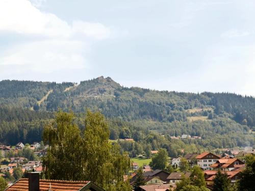 a view of a mountain with a town and houses at Pension Landhaus Koller - Adults only in Bodenmais