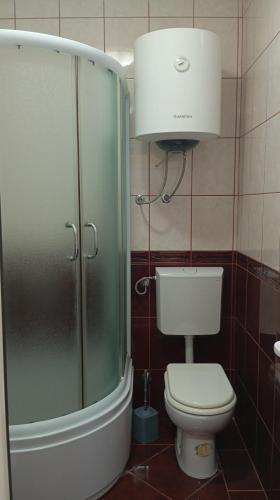 a bathroom with a shower and a toilet and a sink at Apartments Pier in Budva