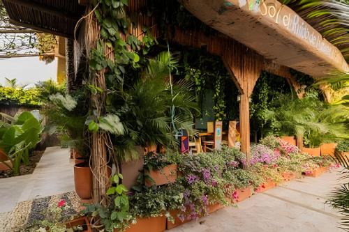 a greenhouse filled with lots of plants and flowers at Tita Tati Disconnect near Cartagena in Punta Canoas