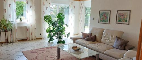 a living room with a couch and a glass table at Ferienwohnung Catus in Rheinzabern