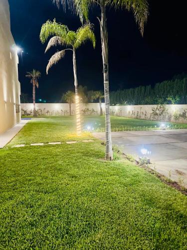 two palm trees in a yard at night at Villa Itran Marrakech in Aguelmous