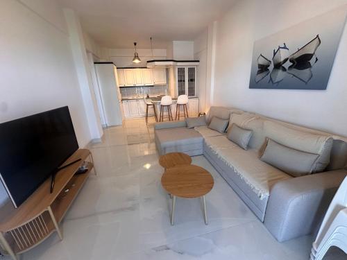 Μια τηλεόραση ή/και κέντρο ψυχαγωγίας στο the delta suites