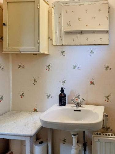 a bathroom with a sink and a cabinet at Charming 1900S Cottage In Billinge Village in Norrtälje