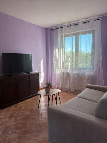 a living room with a couch and a tv at Casale dei Gelsomini - Country House in Poggio