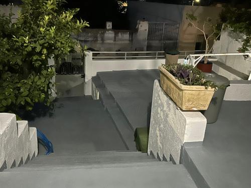 a set of stairs with potted plants on them at Lemonia in Megara