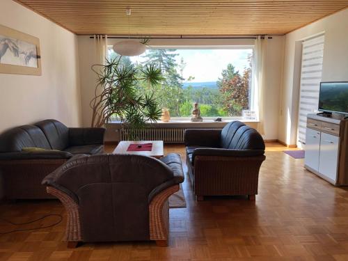 Una sala de estar con dos sofás y una gran ventana. en Urlaubsort Fränkisches Seenland, en Haundorf