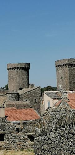 two towers on top of a stone building with roofs at Le Valadin in Valady