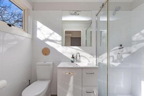 een witte badkamer met een toilet en een wastafel bij Cape Cottages - Ollies View in Tanybryn