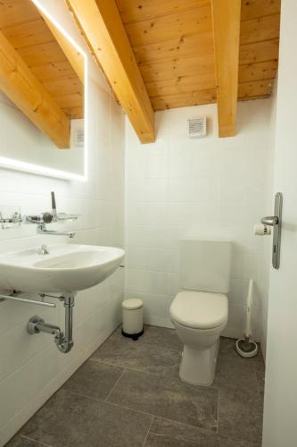 a bathroom with a white toilet and a sink at Edelweiss Pany in Pany