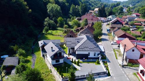 an aerial view of a village with houses at Vila Casa Din Vale - Valiug in Văliug