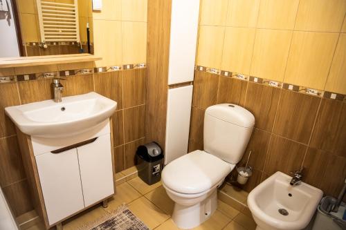 a bathroom with a white toilet and a sink at Top studio in Chişinău