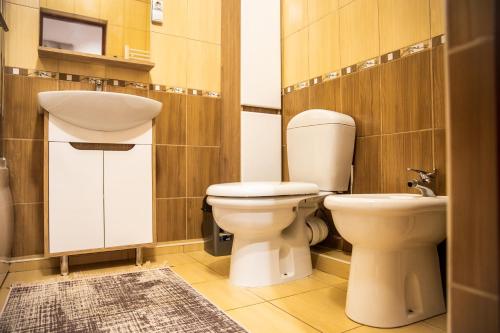 a bathroom with a toilet and a sink at Top studio in Chişinău