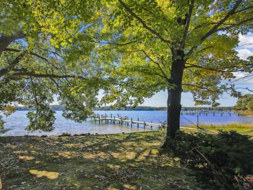 a tree and a dock on a lake at Bankors Aweigh in Mount Pleasant