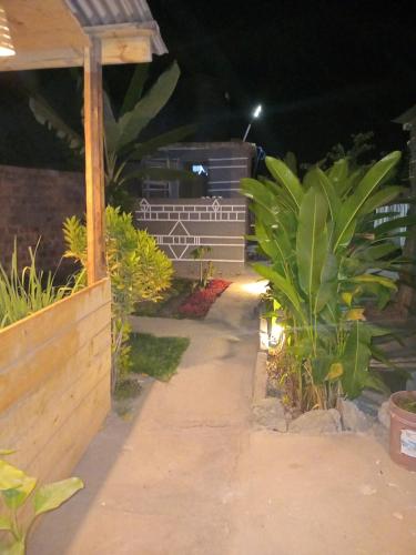 a garden at night with plants and a pathway at Patience Airport cottages in Boma la Ngombe