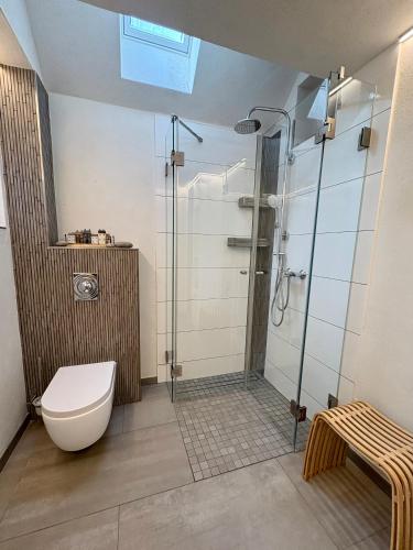 a bathroom with a toilet and a glass shower at Galeriewohnung Alte Post in Pronsfeld