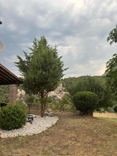 a park with a bench and trees in the background at Casale dei Gelsomini - Country House in Poggio