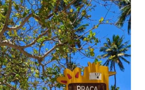 a sign in front of a palm tree with aanchez sign at Pousada Luz do Porto in Porto De Galinhas