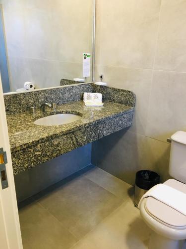 a bathroom with a sink and a toilet at Master Express Cidade Baixa - Próximo ao Araujo Viana, UFRGS e Santa Casa in Porto Alegre