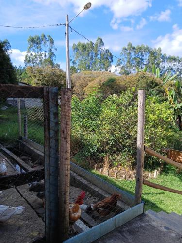 a chicken coop with chickens in it at Pousada Fuego in Ouro Preto