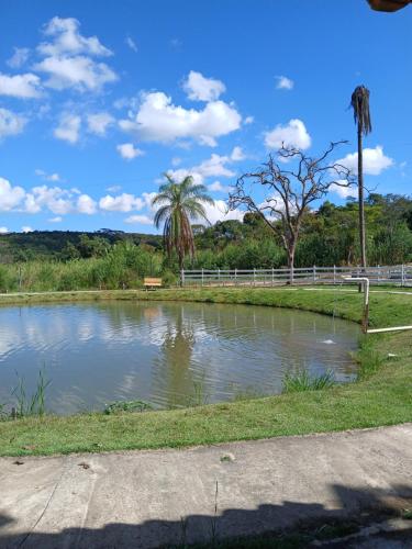 a pond in a park with a fence and palm trees at Pousada Fuego in Ouro Preto
