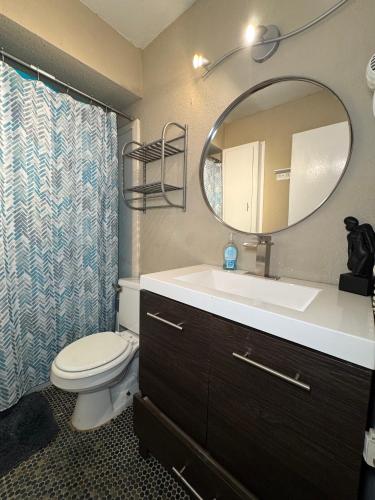 a bathroom with a sink and a toilet and a mirror at 5 STATE FAIR l DT Dallas l FIFA READY l Staycation 1Bd1Ba in Dallas