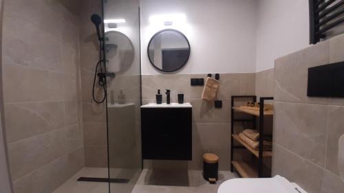 a bathroom with a shower with a sink and a mirror at Apartament Motyl in Warsaw