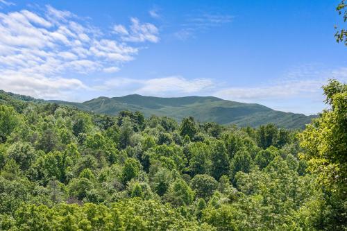 a view of a forest with mountains in the background at High Fa-Lootin by American Patriot Getaways in Oldham