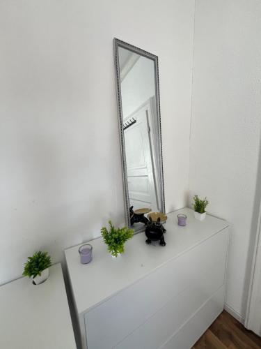a mirror on top of a dresser with plants at TOP Location Apartment Heidelberg Centrum near Hauptbahnhof, Bismarckplatz, Schloss in Heidelberg