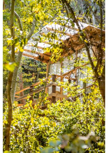 a gazebo in the middle of some trees at Hostal San Nicolás in Ubaté