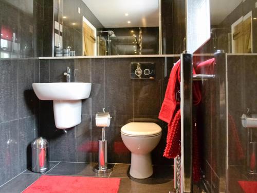 a bathroom with a white toilet and a sink at Y Bwythyn in Tavernspite