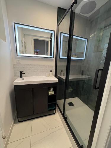 a bathroom with a sink and a shower at Jolie maison de pêcheur 2 chambres avec extérieur in Étaples