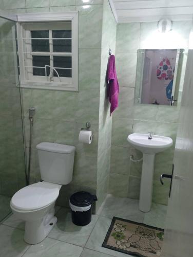 a bathroom with a toilet and a sink at Casa Vila Becker in Campos do Jordão