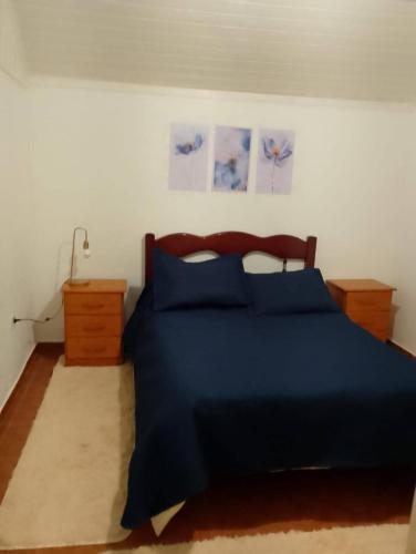 a bedroom with a blue bed with blue pillows at Casa Vila Becker in Campos do Jordão
